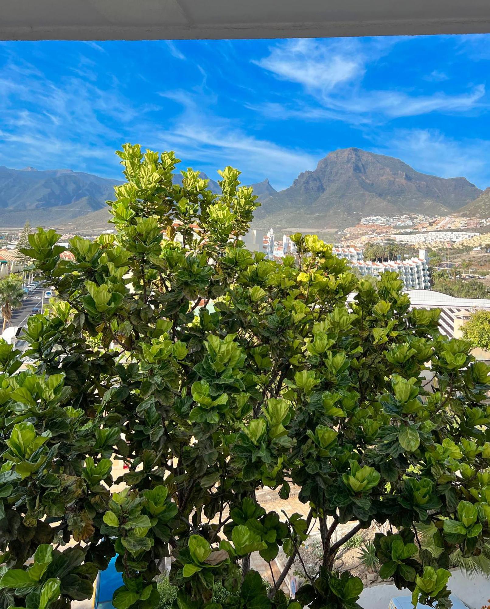 Tenerife Paradise Anna Studio Адехе Экстерьер фото