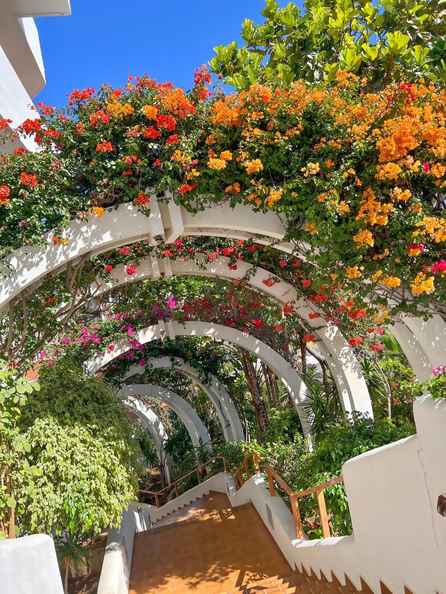 Tenerife Paradise Anna Studio Адехе Экстерьер фото